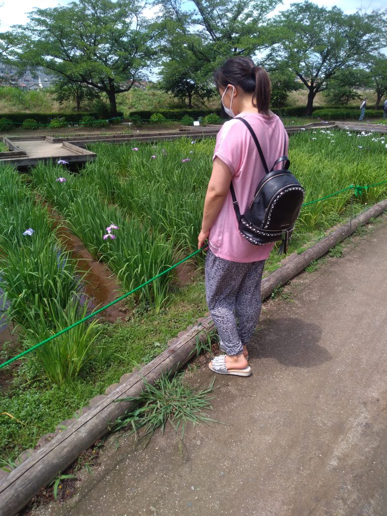 アジサイだけでなくなんだかよくわからない植物も植わっている。「雨じゃないから暖かくてよかった」私は言い、あらためて彼女の気を引こうとする