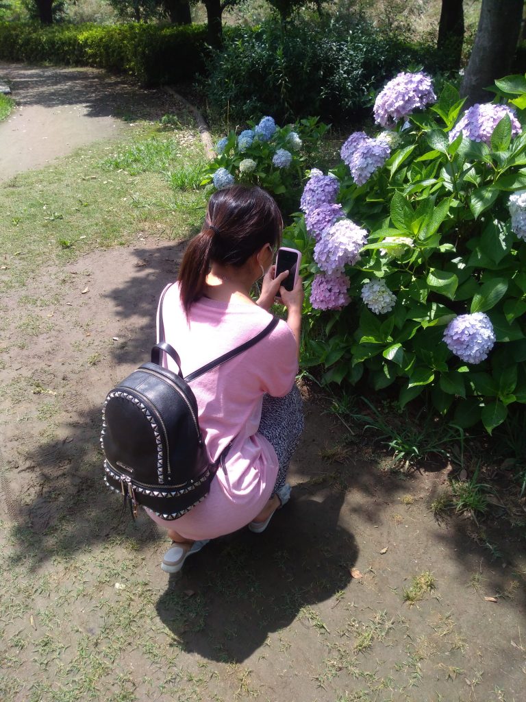 彼女の許しを得て、「アジサイを撮影する彼女」を撮る。もちろん私はアジサイではなく、彼女の後ろ姿ばかり見ていた