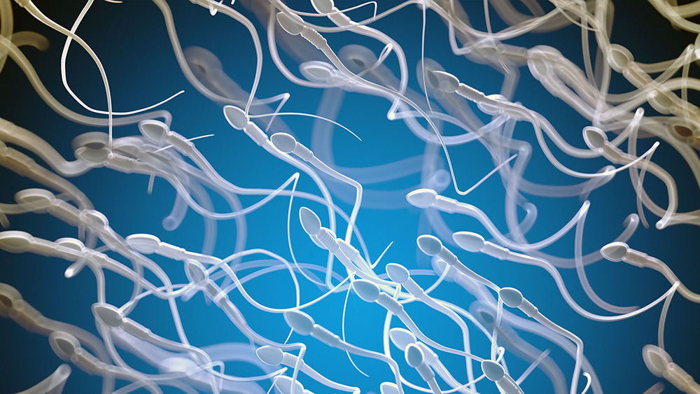 一日に億単位の精子があたらしく生まれている